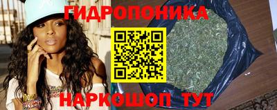 ГАЛЛЮЦИНОГЕННЫЕ ГРИБЫ Тулун