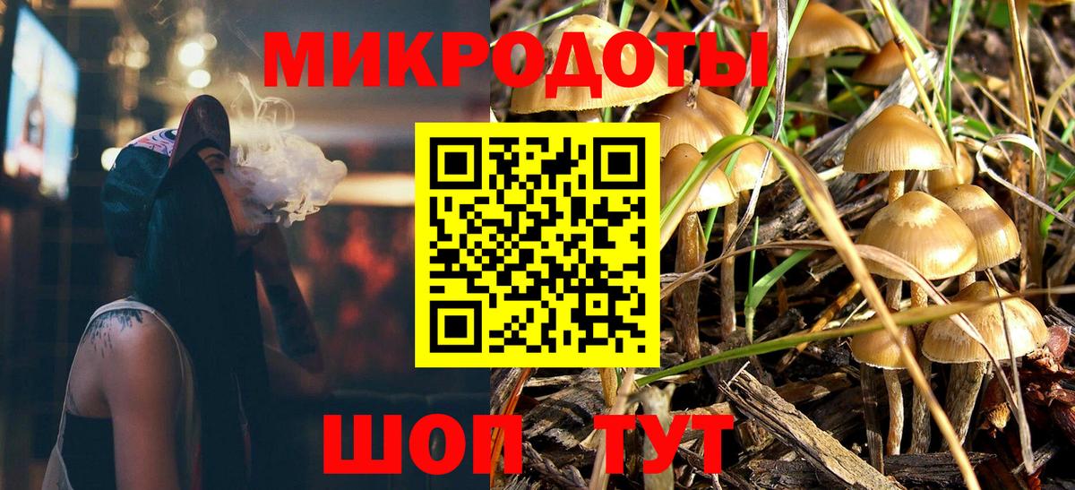 Псилоцибиновые грибы Psilocybe Новочебоксарск
